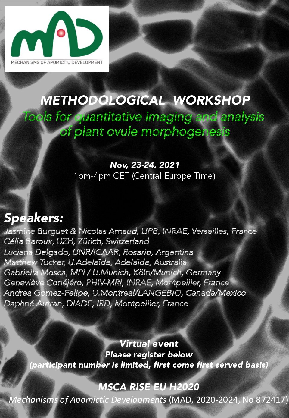 WP6 Methodological Workshop